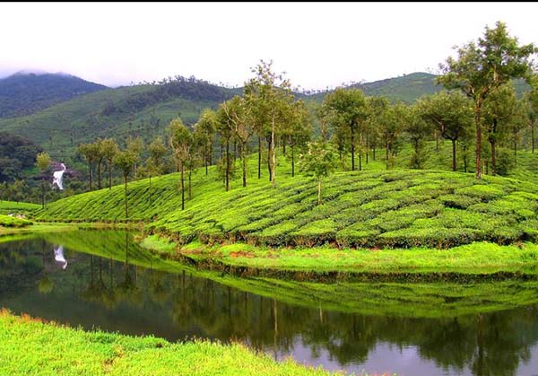 Valparai Athirapally Munnar 4  day tour from Vellore